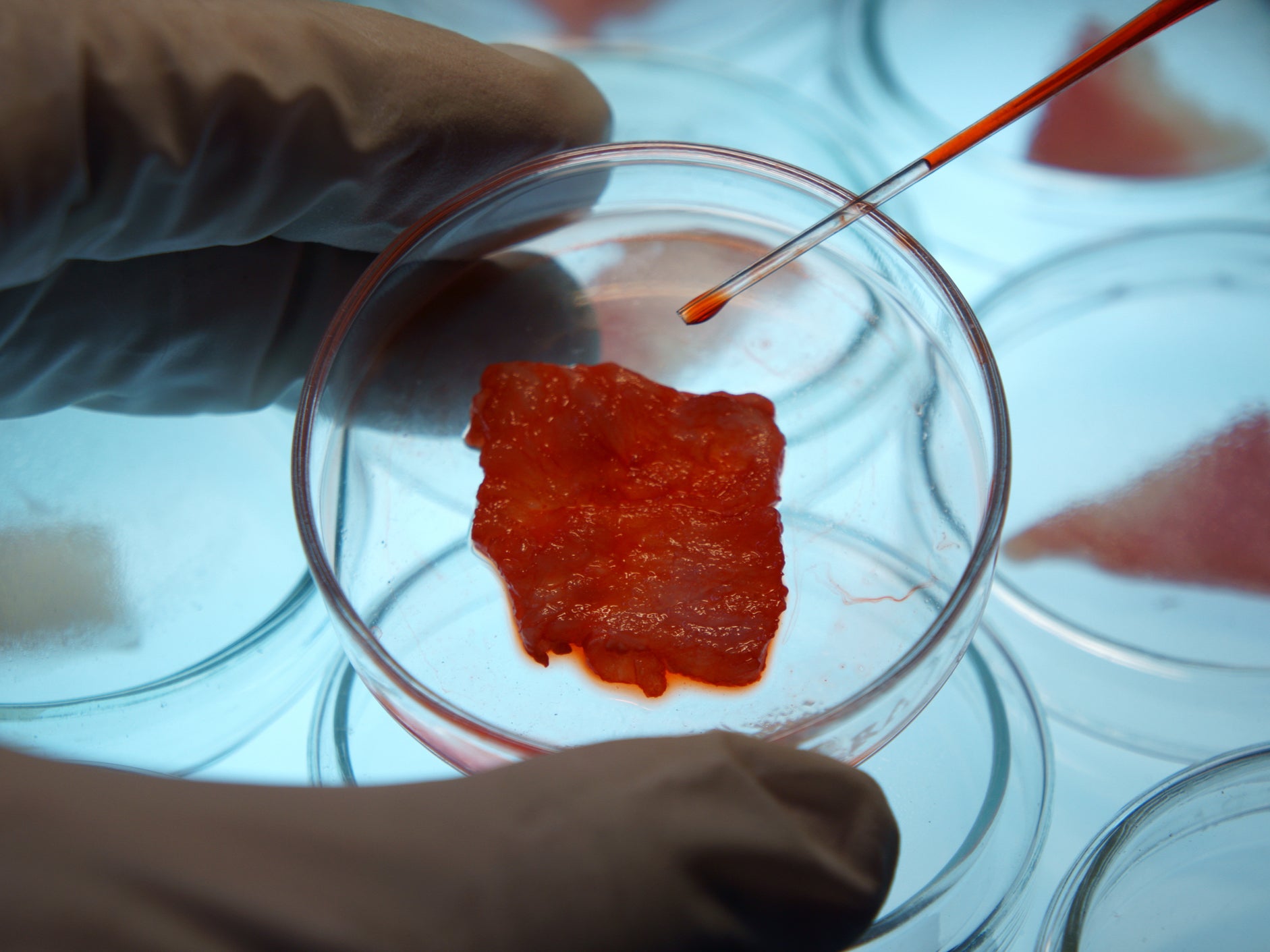 Lab-grown Meat or cultured meat is meat produced by in vitro cultivation of animal cells