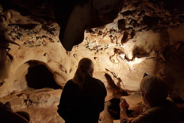 Scientists analysing wall engravings at La Roche-Cotard cave in Loire, France (Kristina Thomsen/TechnicalUniversity of Denmark)