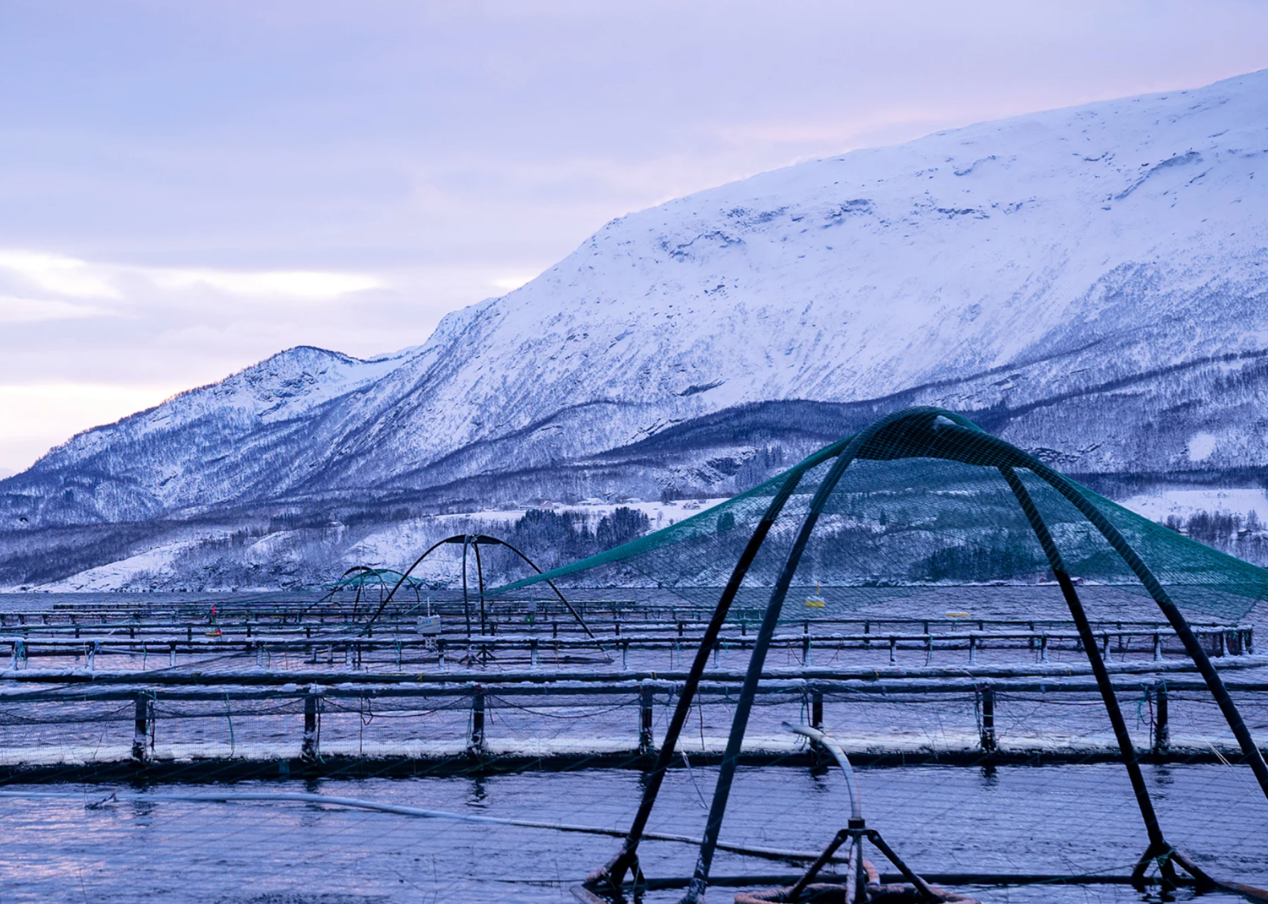 Aquaculture pens in Norway