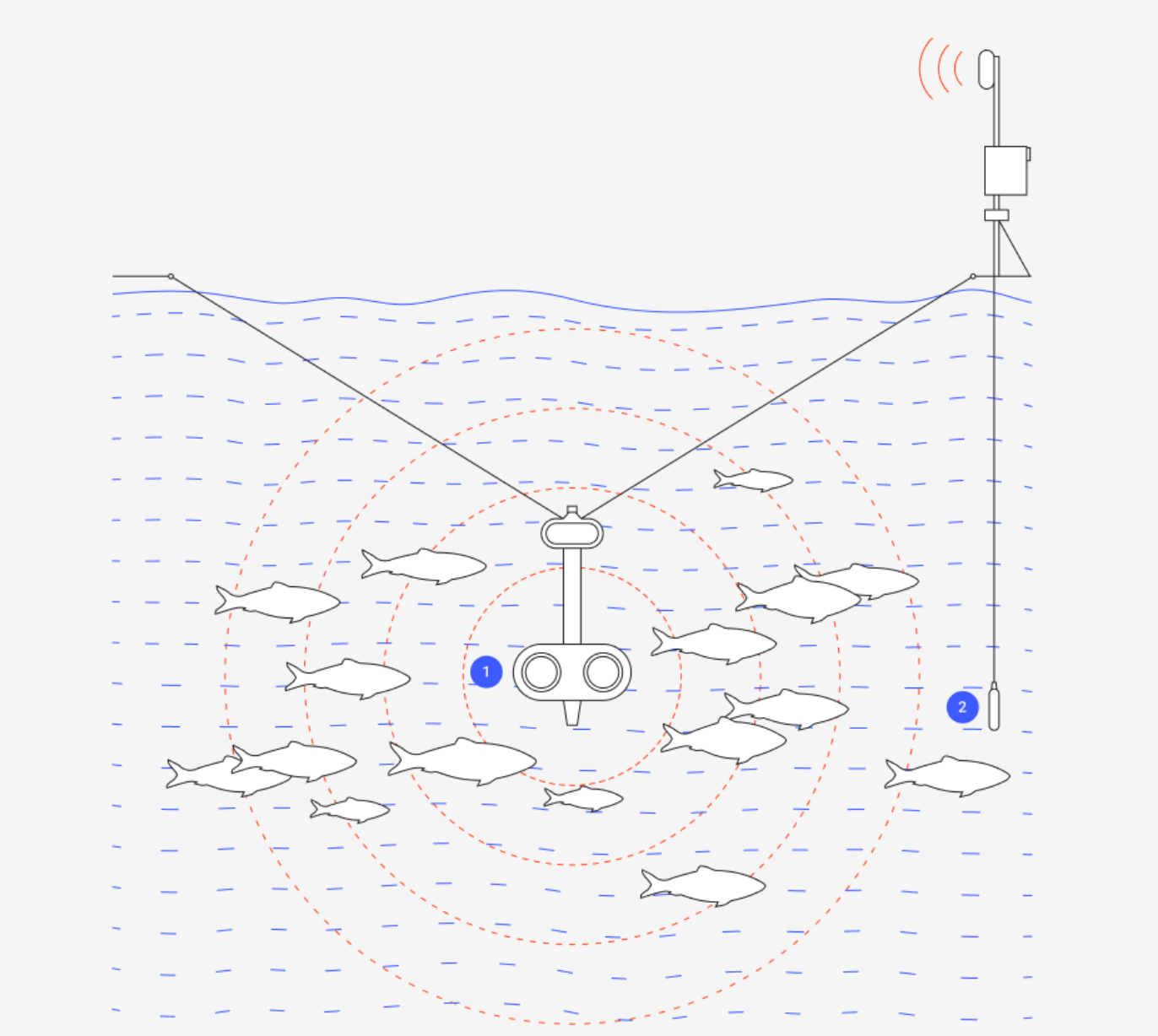 1- Camera and computer vision continuously collecting and interpreting images of fish; 2 - Environmental sensors collecting a mix of environmental data like temperature and salinity