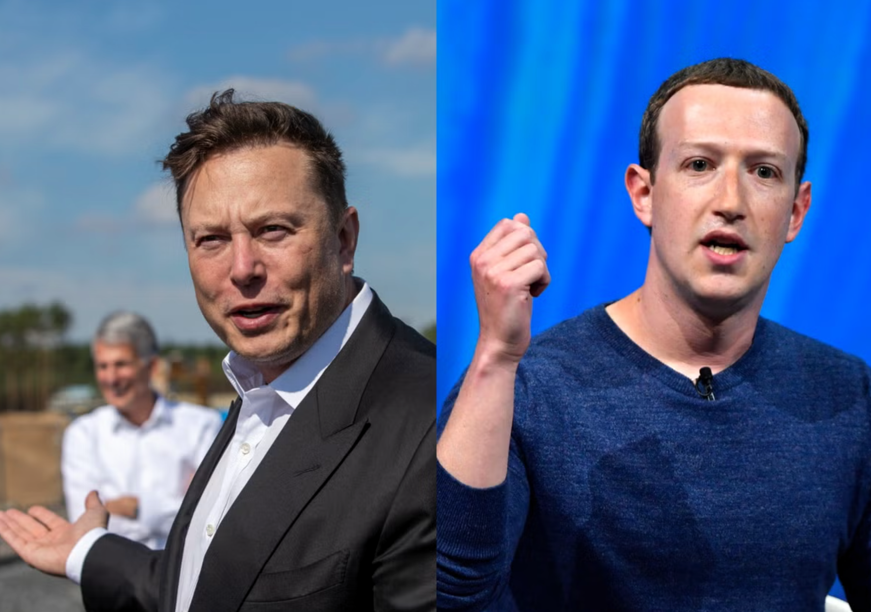 Packing a punch: Elon Musk and Mark Zuckerberg have a combined net worth of $335bn