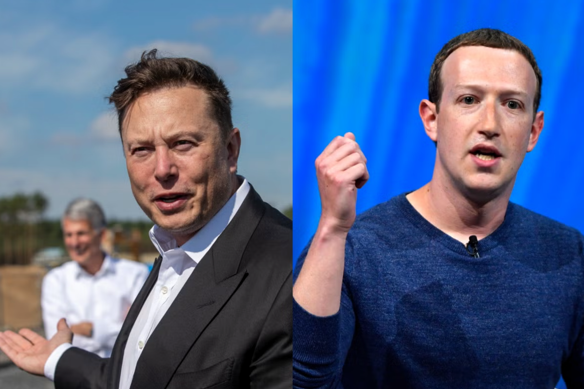 Elon Musk vs Mark Zuckerberg: Who would win a fight between tech titans? |  The Independent