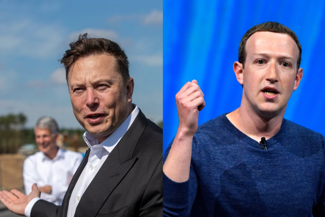 <p>Elon Musk and Mark Zuckerberg have a combined net worth of $335 billion</p>
