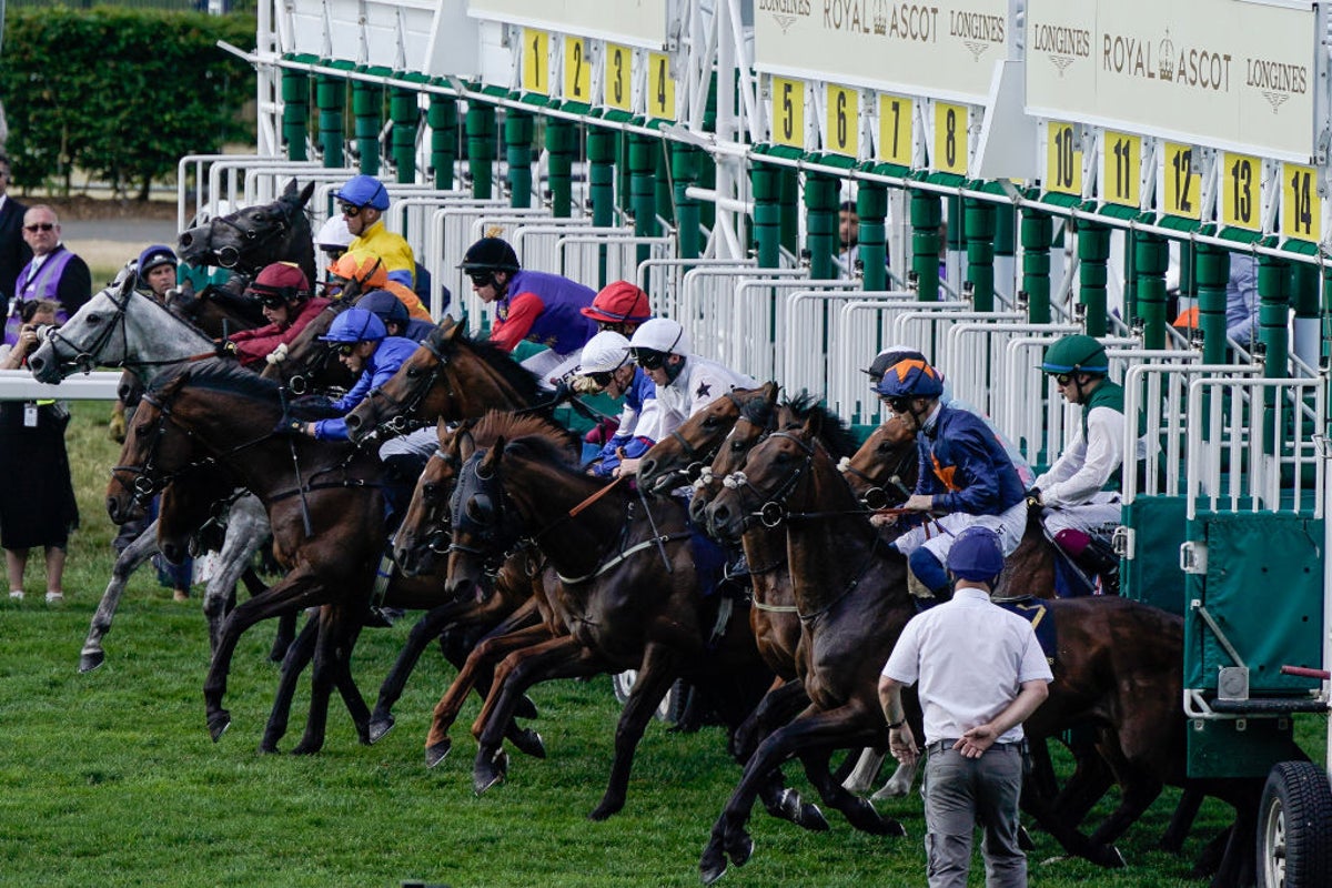 Royal Ascot tips: Day 3 best bets and nine horses to watch