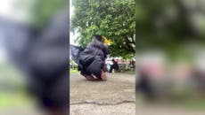 Graduating student takes a tumble in photoshoot fail