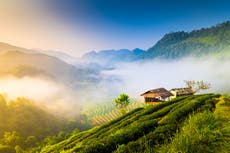 The best time to visit Thailand for a holiday – and when to avoid the rainy season