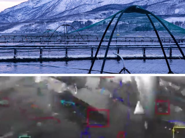 <p>Top: Aquaculture pens in Norway. Below: Tidal’s underwater camera system and machine perception tools at work capturing fish behaviors</p>