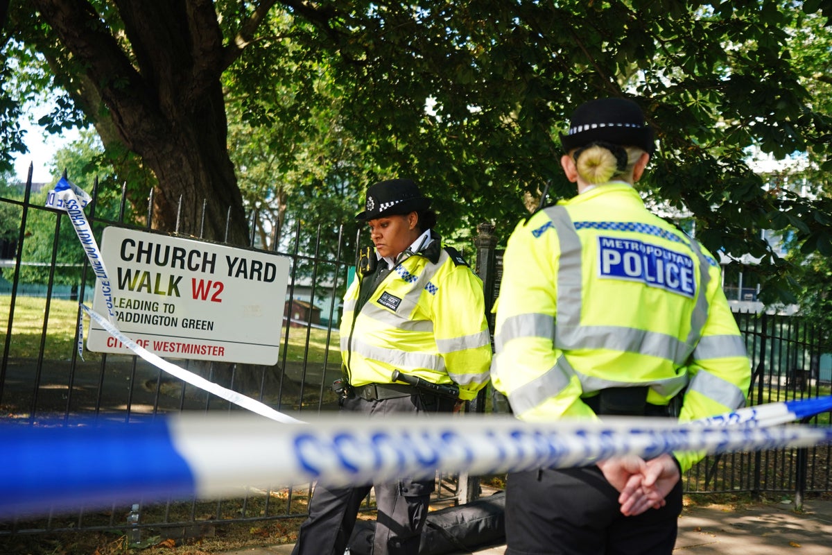 Teenager charged with murder after boy, 17, stabbed in central London ...