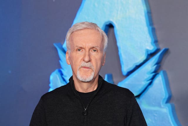 James Cameron has himself visited the wreckage of the famous ocean liner 33 times (PA)