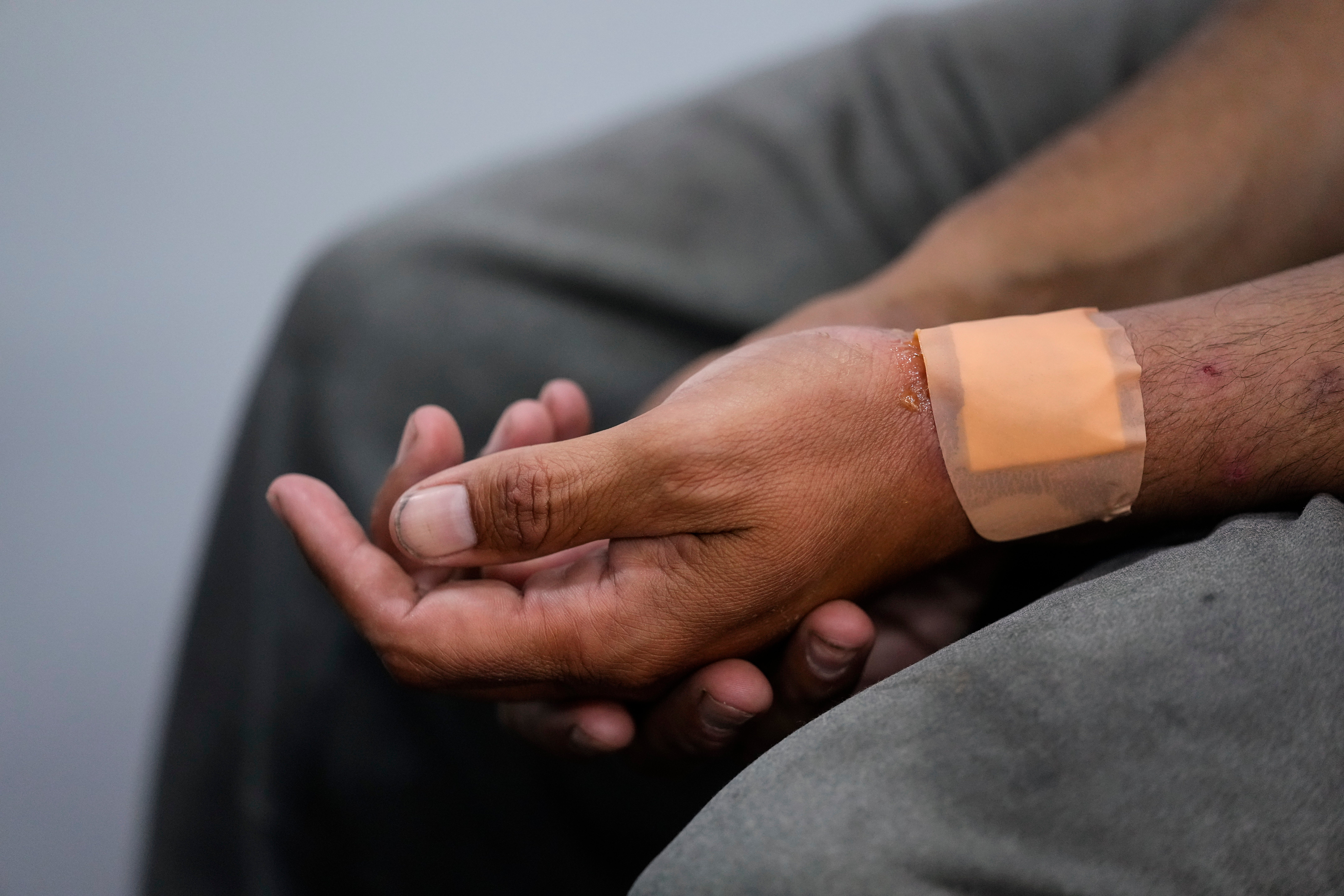 <p>Drug Overdoses Animal Drug</p>