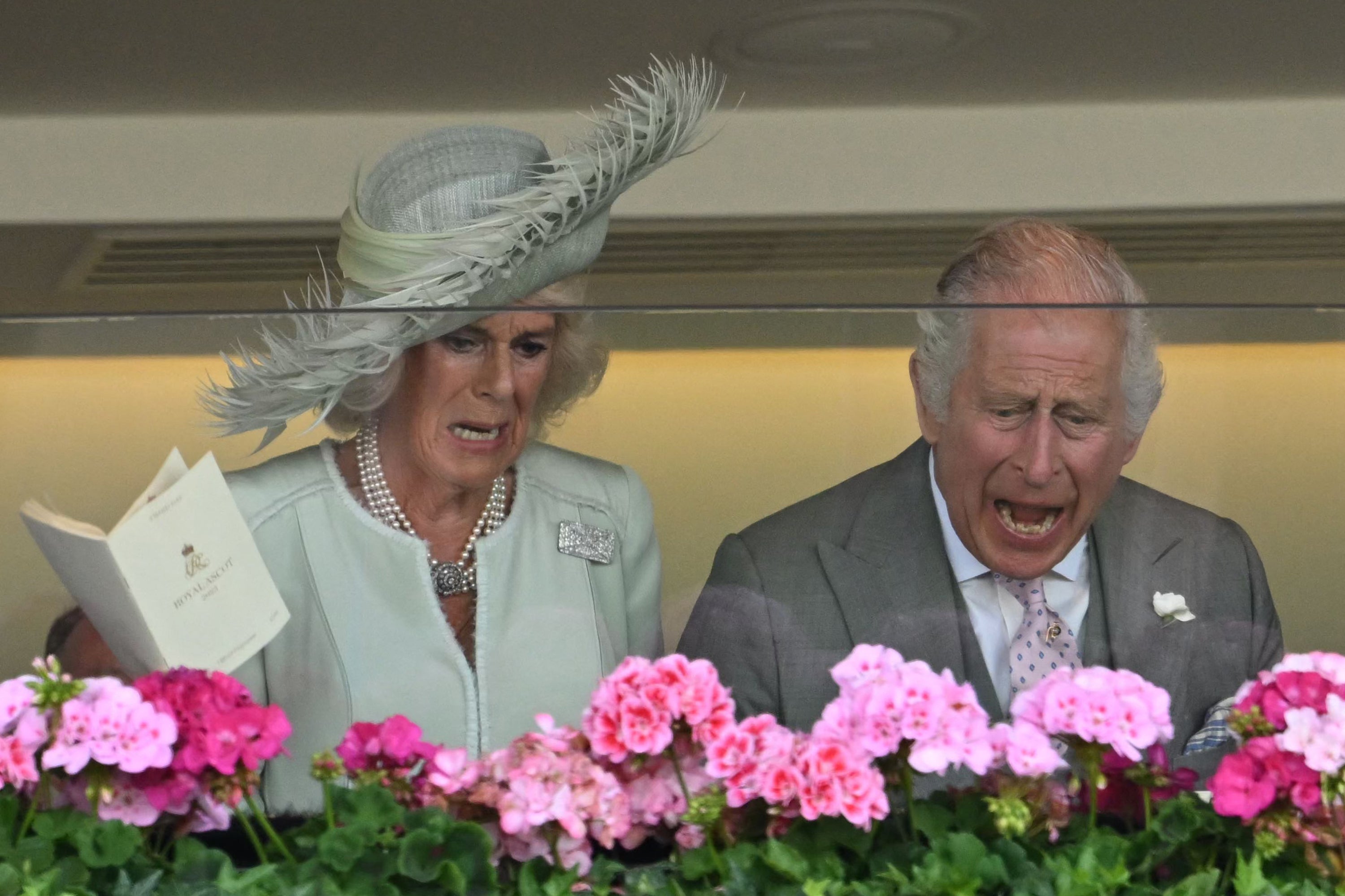 Queen Camilla and King Charles III cheer on their horse, Desert Hero to victory in the King George V Handicap on the third day of the Royal Ascot horse racing meeting in Ascot