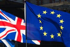 Public support for new Brexit referendum revealed