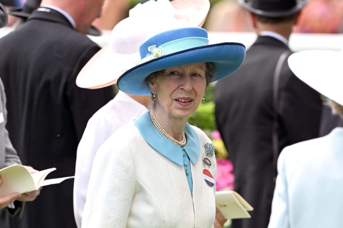 Princess Royal pictured in dress she wore aged 27 – 45 years later