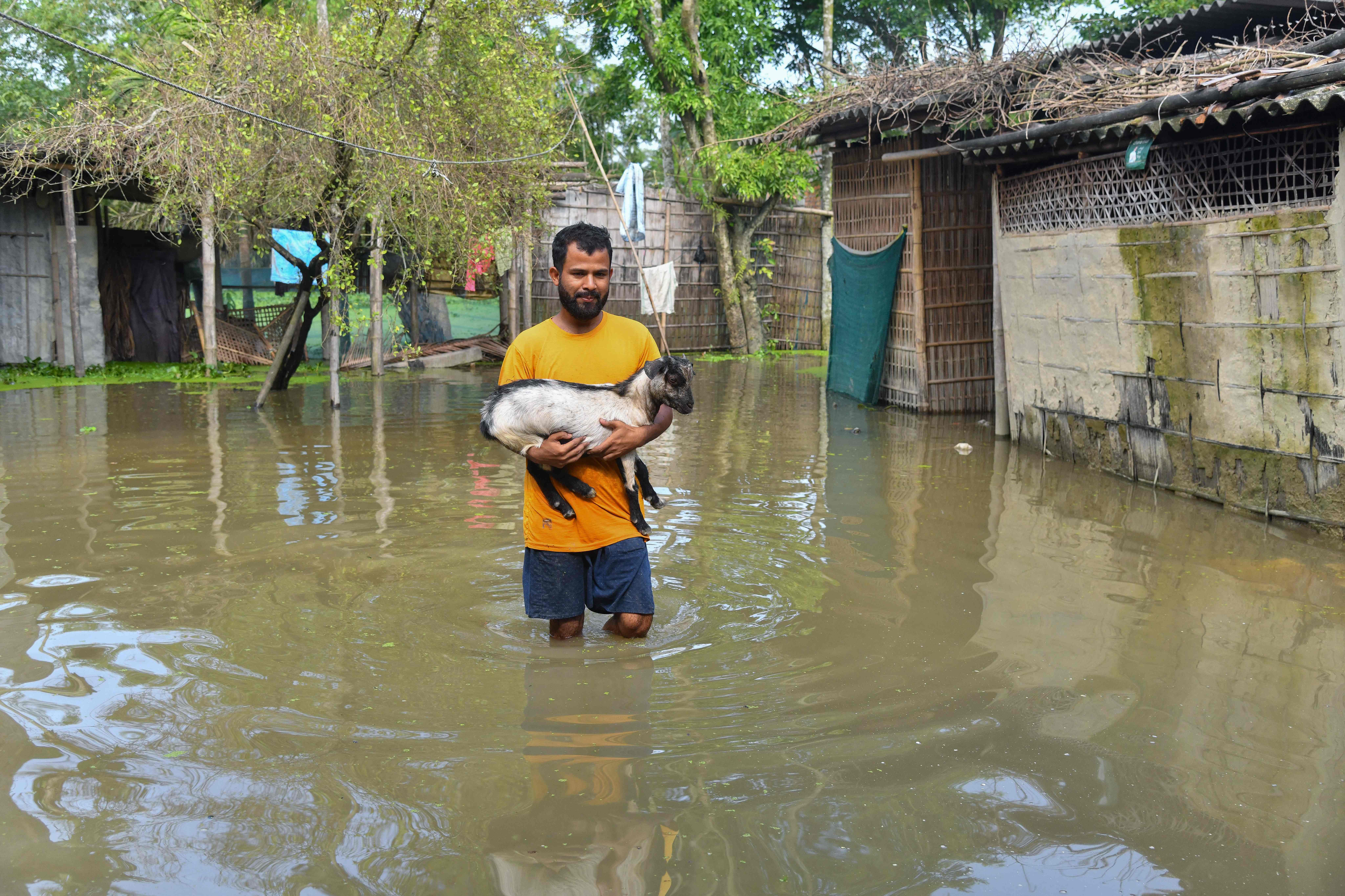 A man carries his livestock as he wades through flood water in Rangia, in India's Assam state
