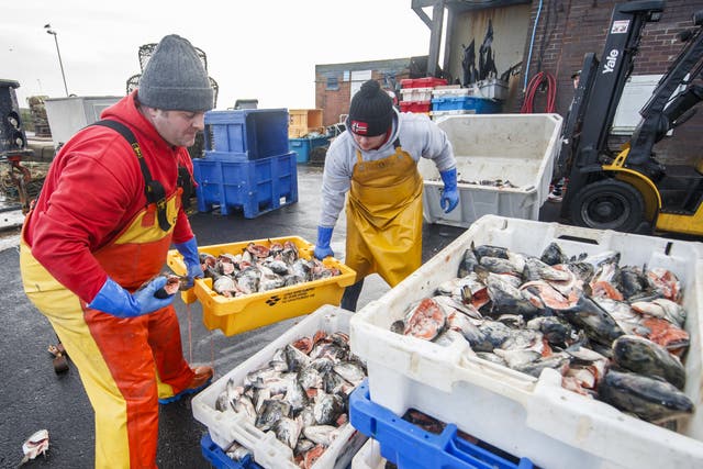 <p>Fishing industry has been hit by Boris Johnson’s trade deal</p>