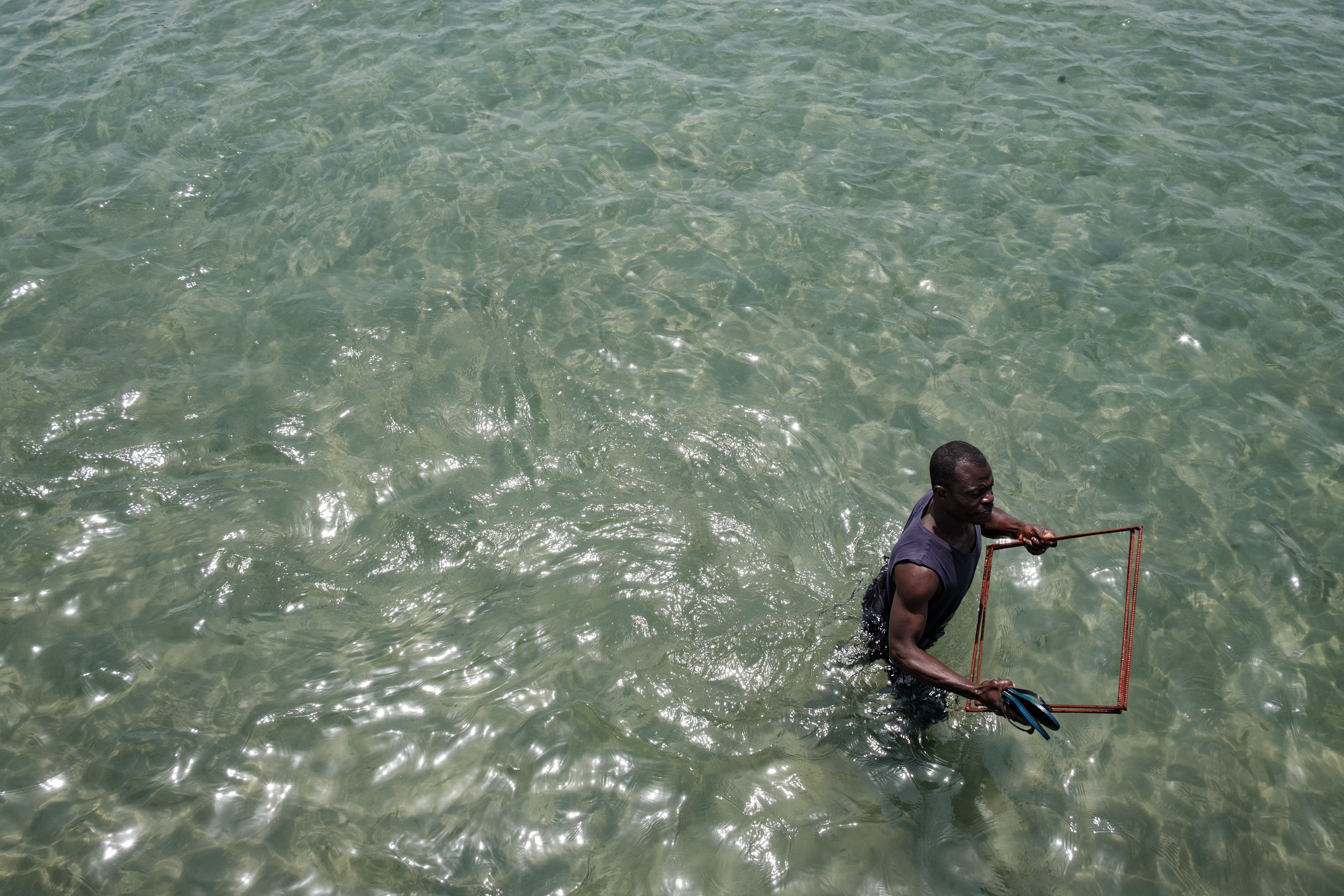 Turay carries metal squares used to measure density of seagrass