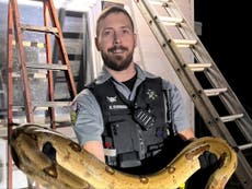 Firefighters pull giant boa constrictor from roof of Wisconsin home: ‘The stuff of nightmares’