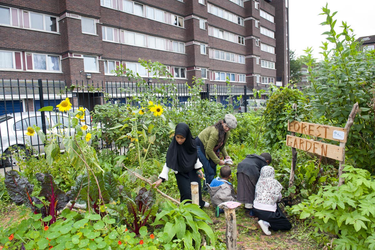 Coronation gardens scheme aims to inspire millions to grow fruit and vegetables