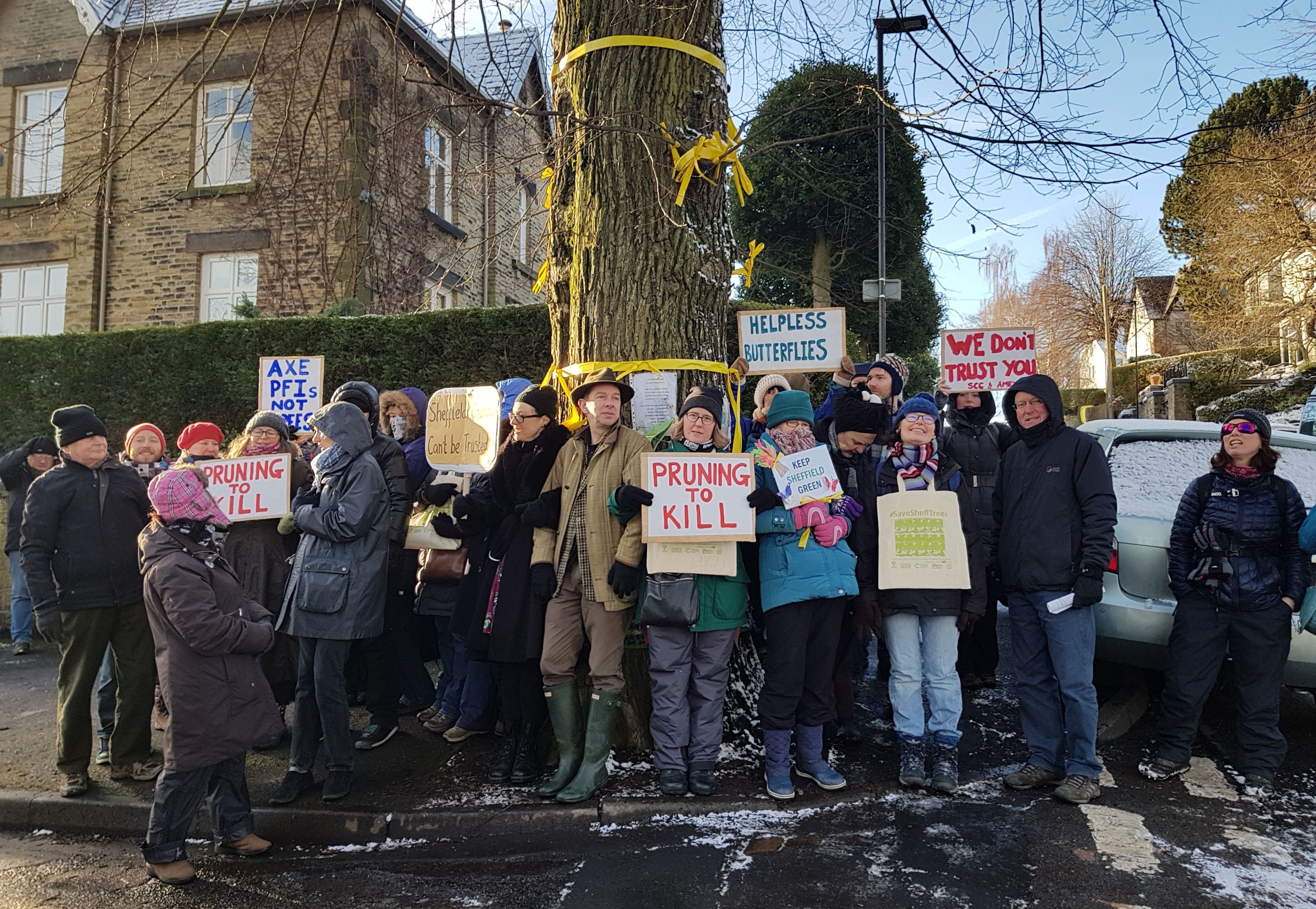 Protesters stand next to a rare Huntingdon elm on Chelsea Road in Sheffield