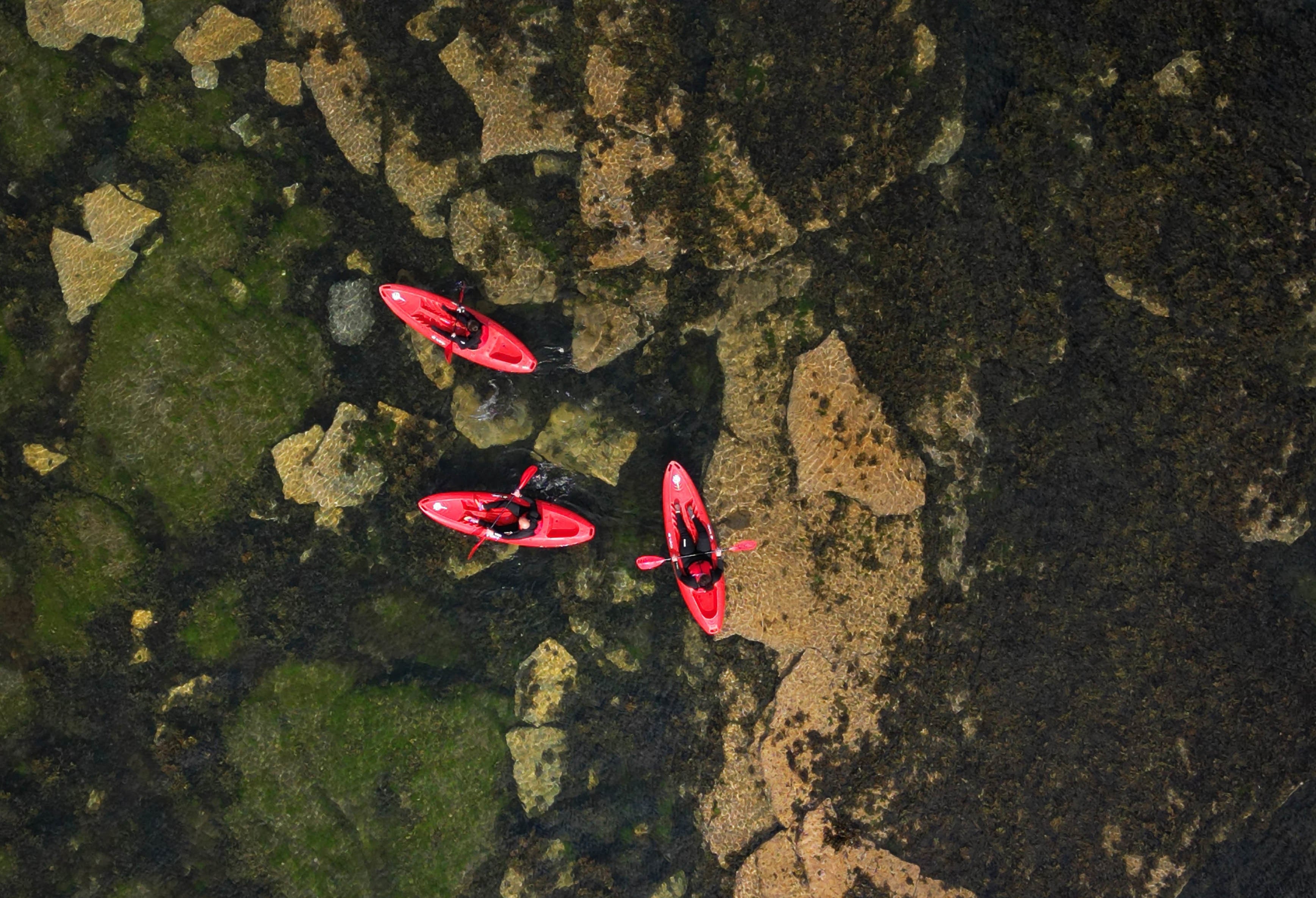 Kayakers at Cullercoats bay in North Tyneside