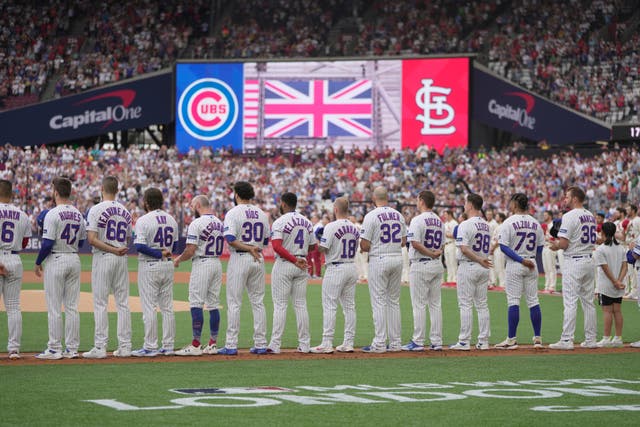 CACHORROS-CARDENALES