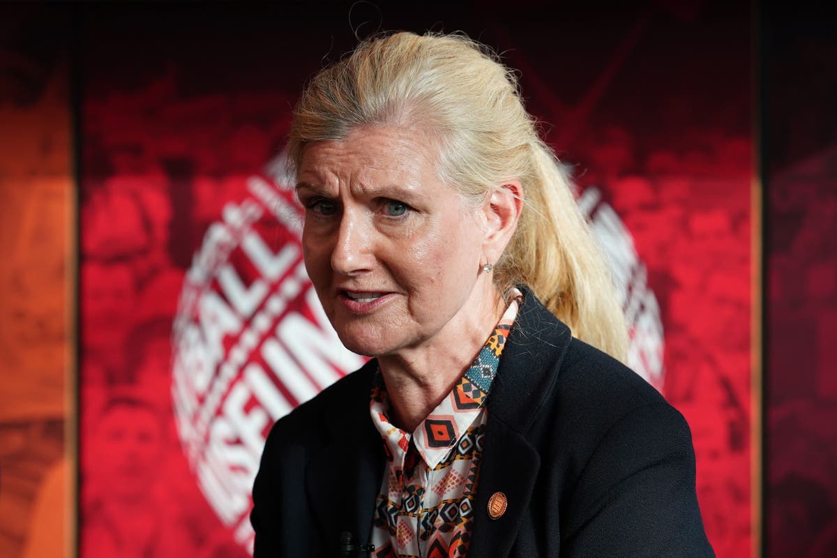 &lsquo;Test plans for Champions League final at Wembley to destruction&rsquo; says FA chair