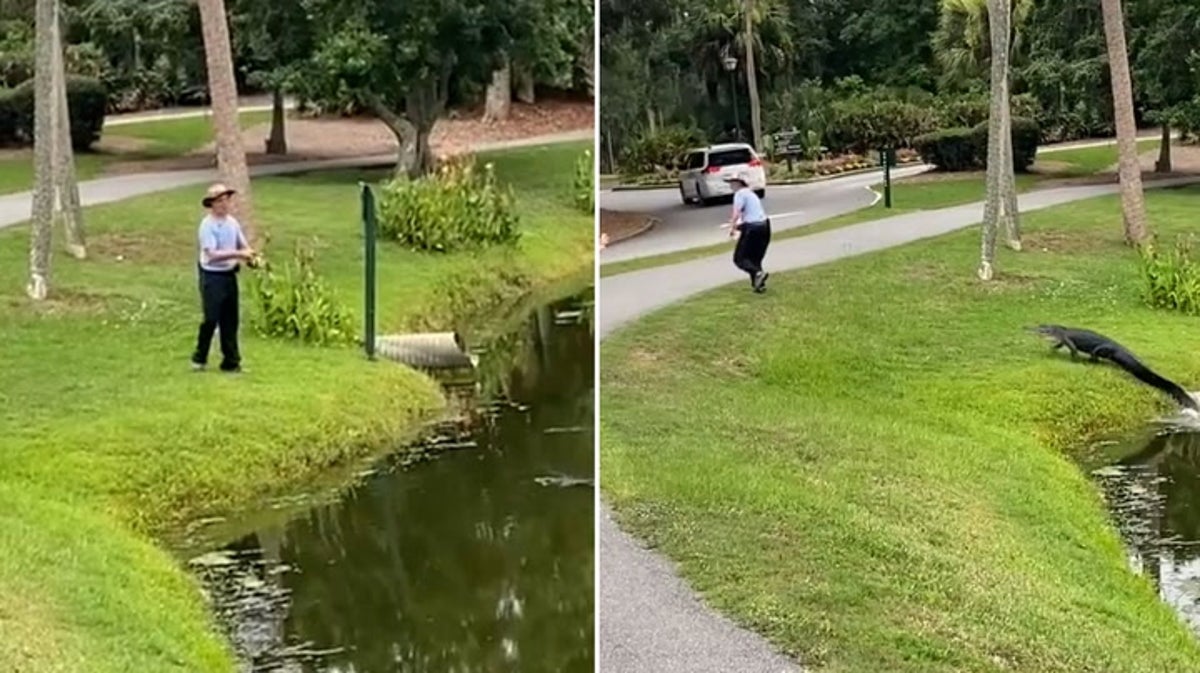Terrifying moment alligator chases fisherman in South Carolina