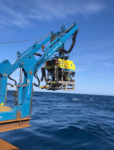 Pictures released of deep-sea robot aiding in Titan recovery efforts
