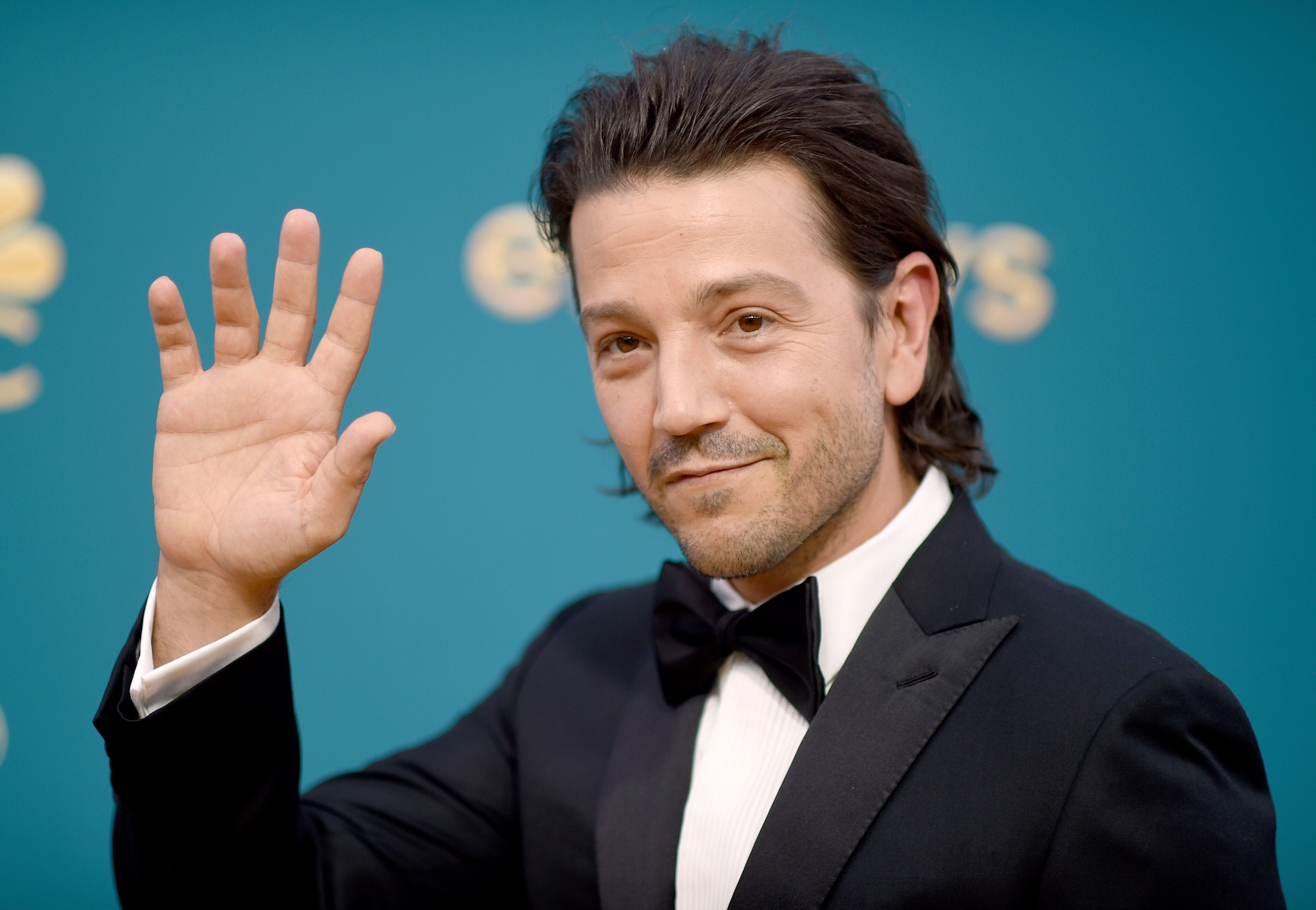 TV-Diego Luna