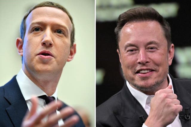 <p>Mark Zuckerberg (L) agreed to fight Elon Musk in a ‘cage fight’ in Las Vegas</p>