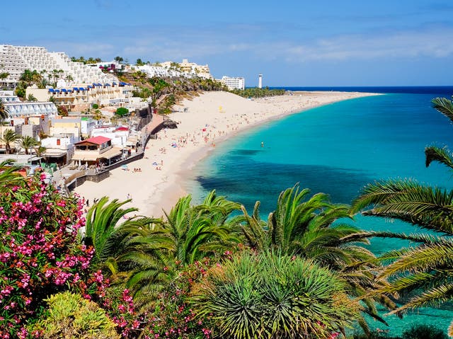 <p>Playa de Morro Jable in Fuerteventura </p>