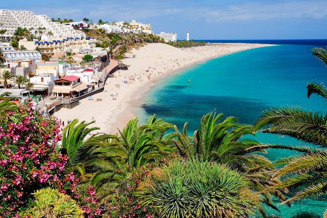 <p>Playa de Morro Jable in Fuerteventura </p>
