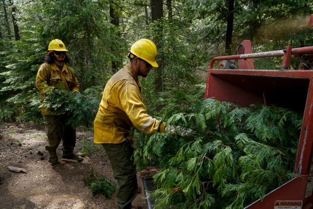 <p>U.S. Forest Service crew members prepare an area for a prescribed burn</p>