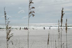 Hazardous water warnings as Gulf of Mexico rip currents kill 11 people in two weeks in Florida and Alabama