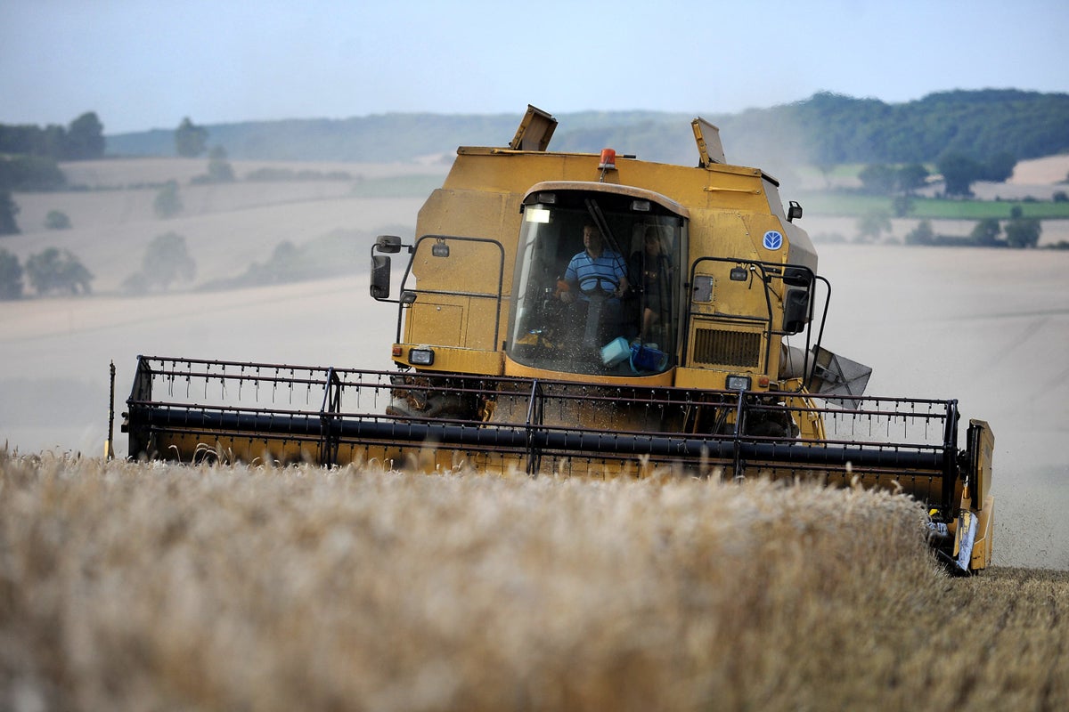 Budget cuts undermine UK’s global influence on agriculture, report finds