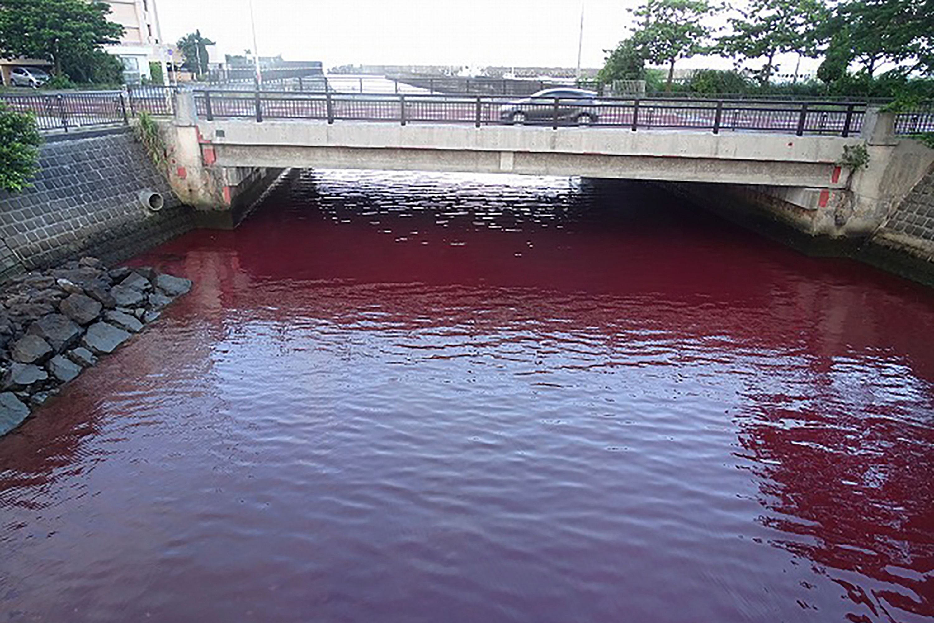 Visuals of the river in Nago city in Japan’s Okinawa showed the flowing water had turned deep red in colour