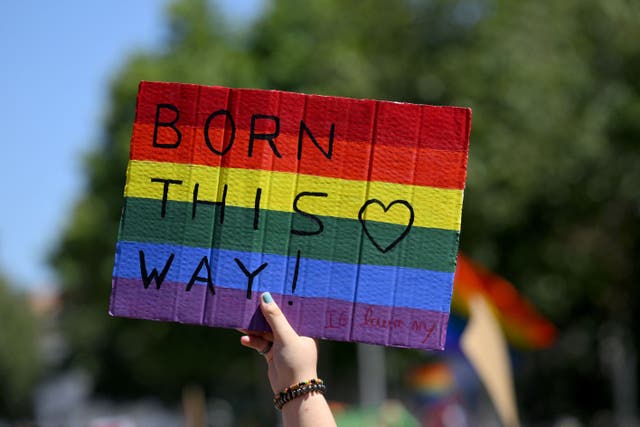 <p>Born this Way - Pride sign</p>
