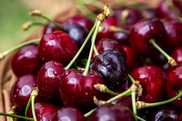 Warmer weather and sunshine means British cherries are “extra sweet” as the harvesting season gets underway, a Kent grower has said (Driscoll’s British Cherries/PinPep/PA)