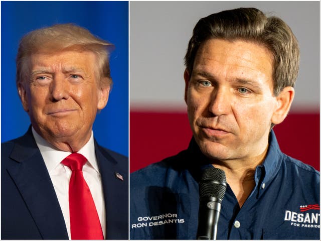 <p>Donald Trump and Ron DeSantis are battling each other for the 2024 GOP presidential nomination</p>