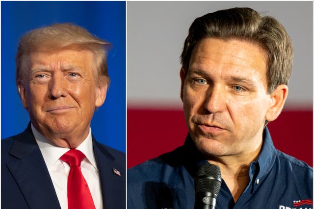 <p>Donald Trump and Ron DeSantis are battling each other for the 2024 GOP presidential nomination</p>