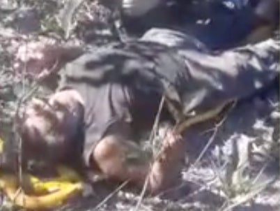 Jose Arteiro Ribeiro survived alone in the Brazilian forest for a week beofre being rescued