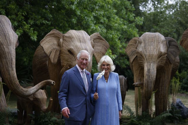 King Charles and Queen Camilla attend the Animal Ball (Heathcliff O’Malley/Daily Telegraph/PA)
