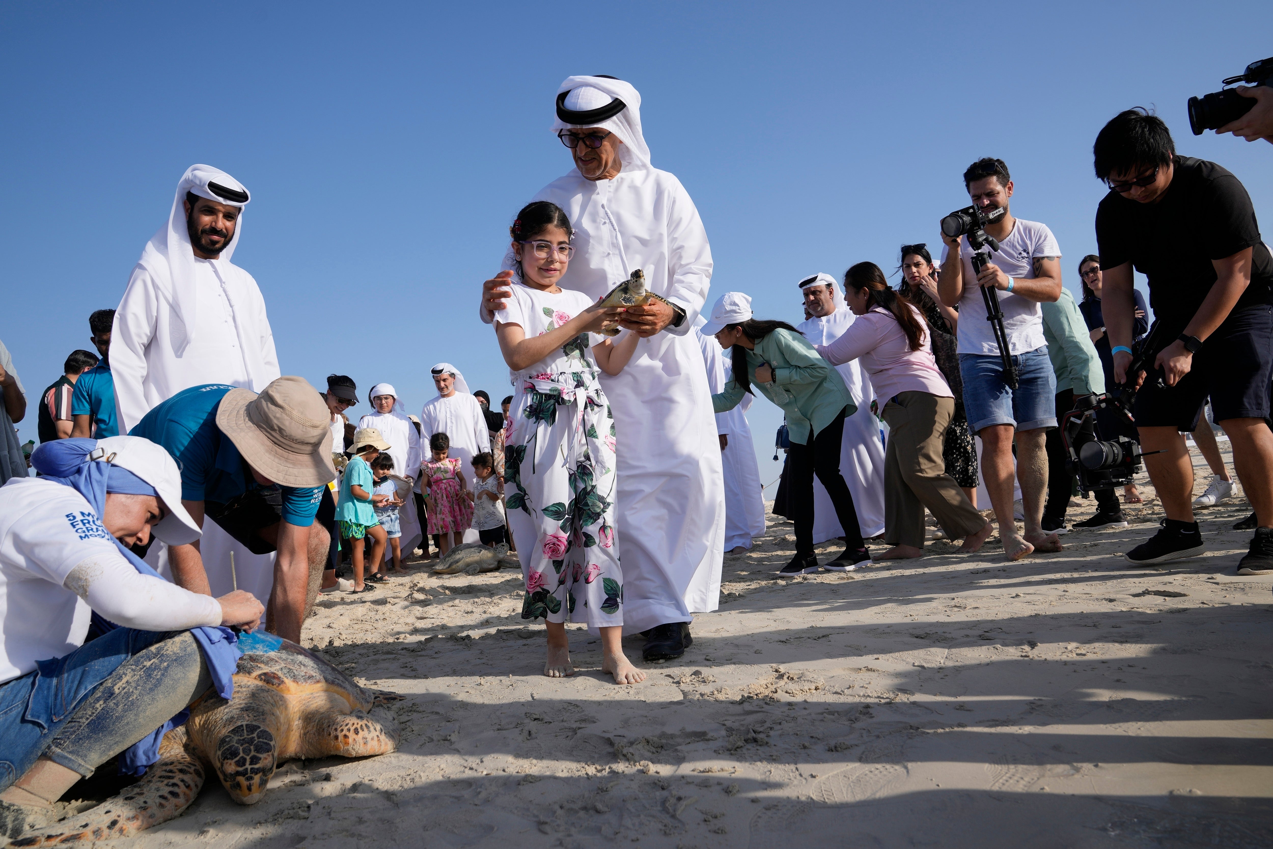 Climate UAE Turtles