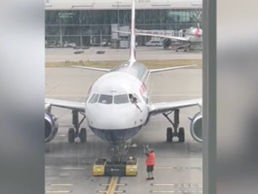 The British Airways pilot was asked to look for the mislaid passport by colleagues who texted him from the arrivals gate