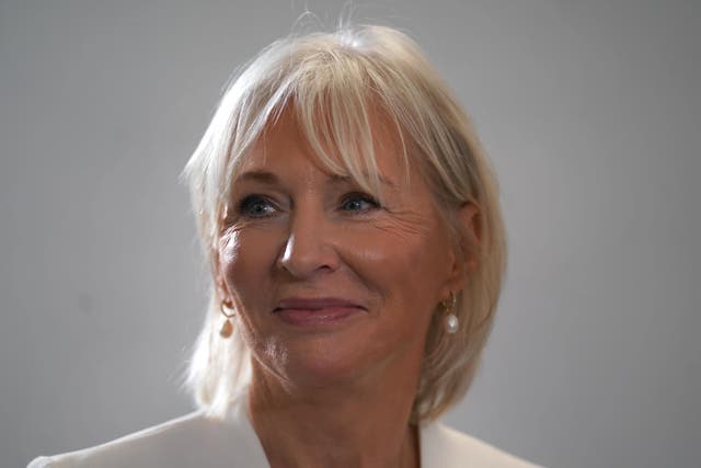 Four remarks by Nadine Dorries were listed in the Privileges Committee report (Kirsty O’Connor/PA)