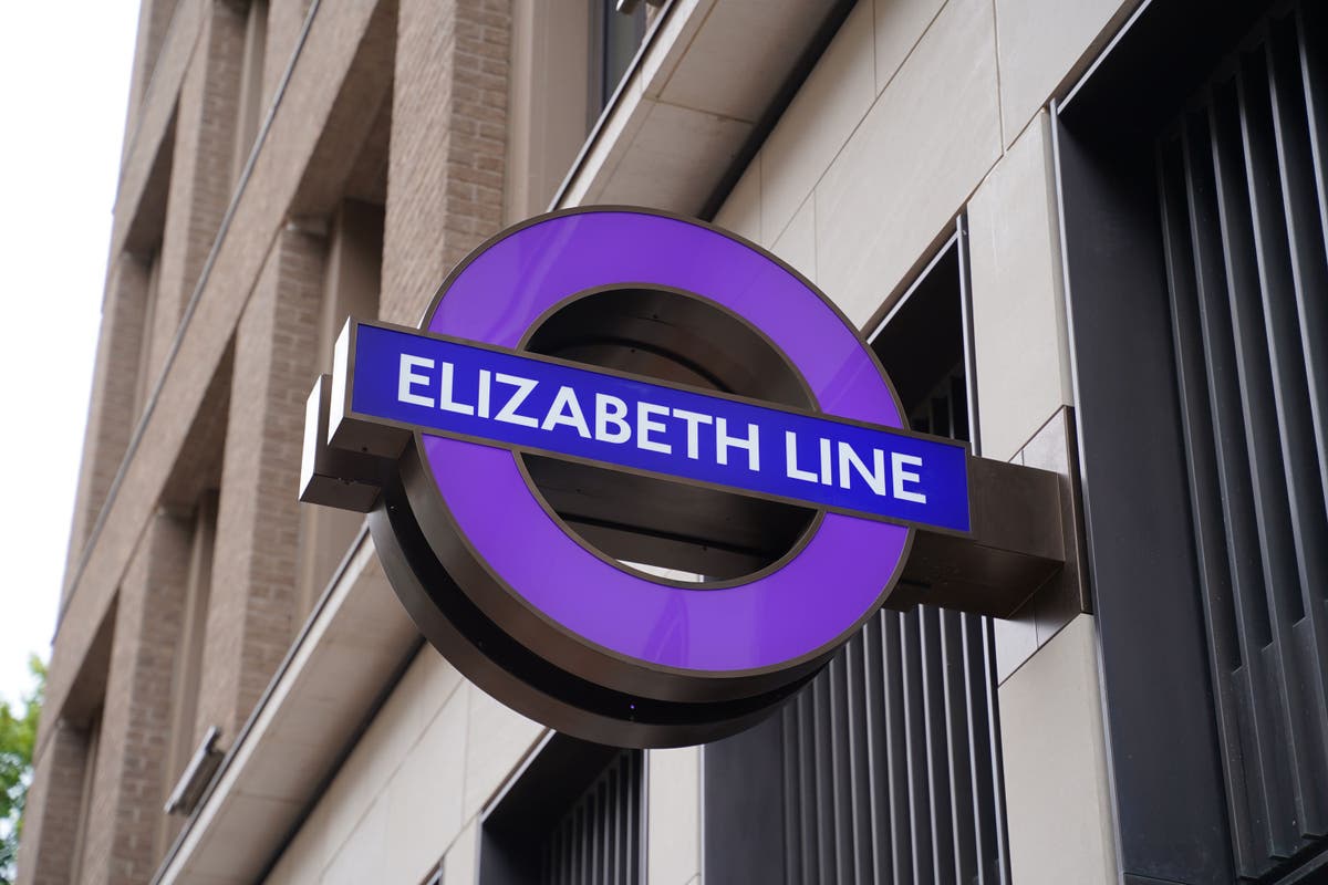 Trains suspended on &pound;19bn Elizabeth line due to swan on the track