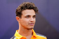 Lando Norris victim of robbery in Marbella and influencer friend left with ‘literally nothing’