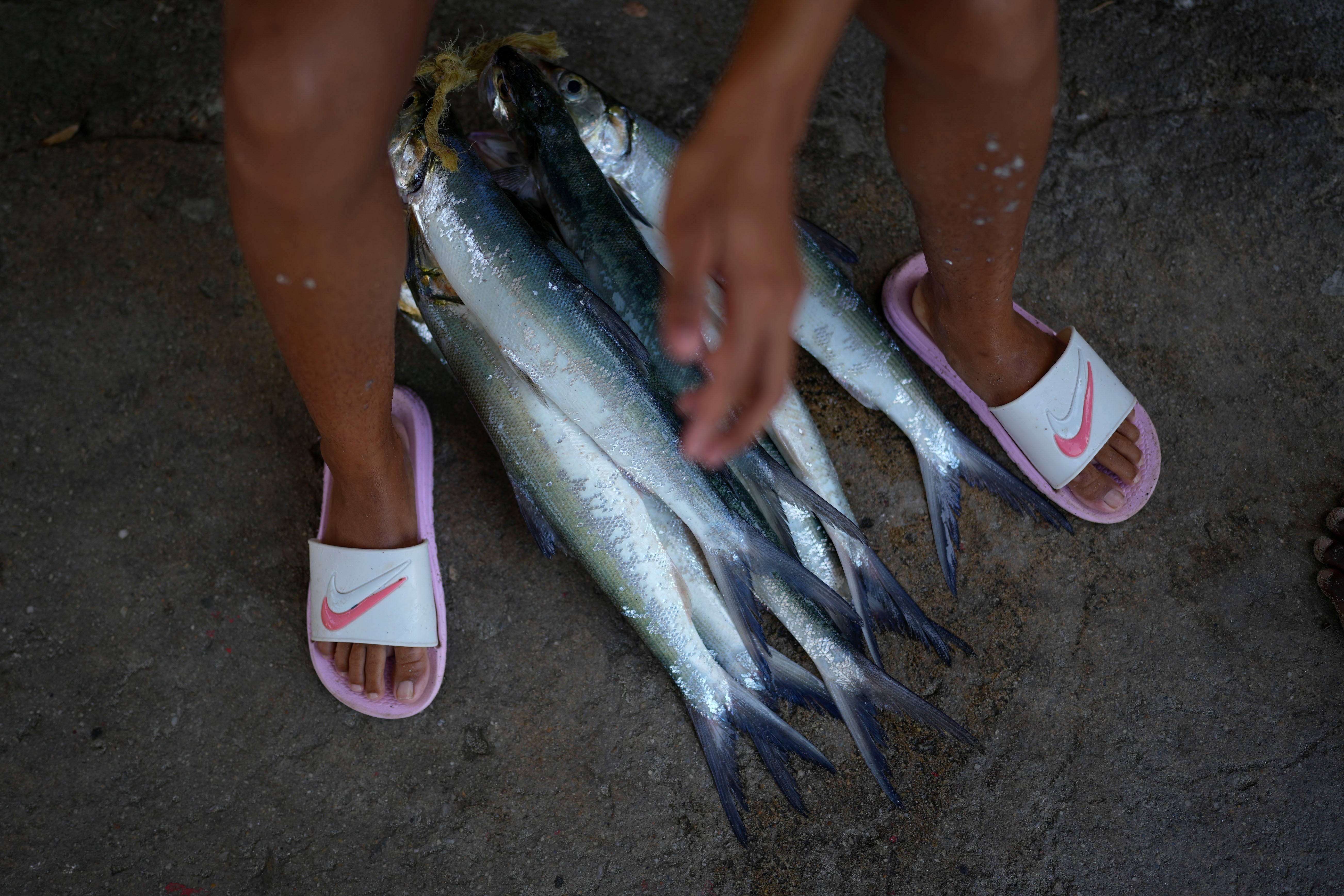 Venezuela Fisherwomen