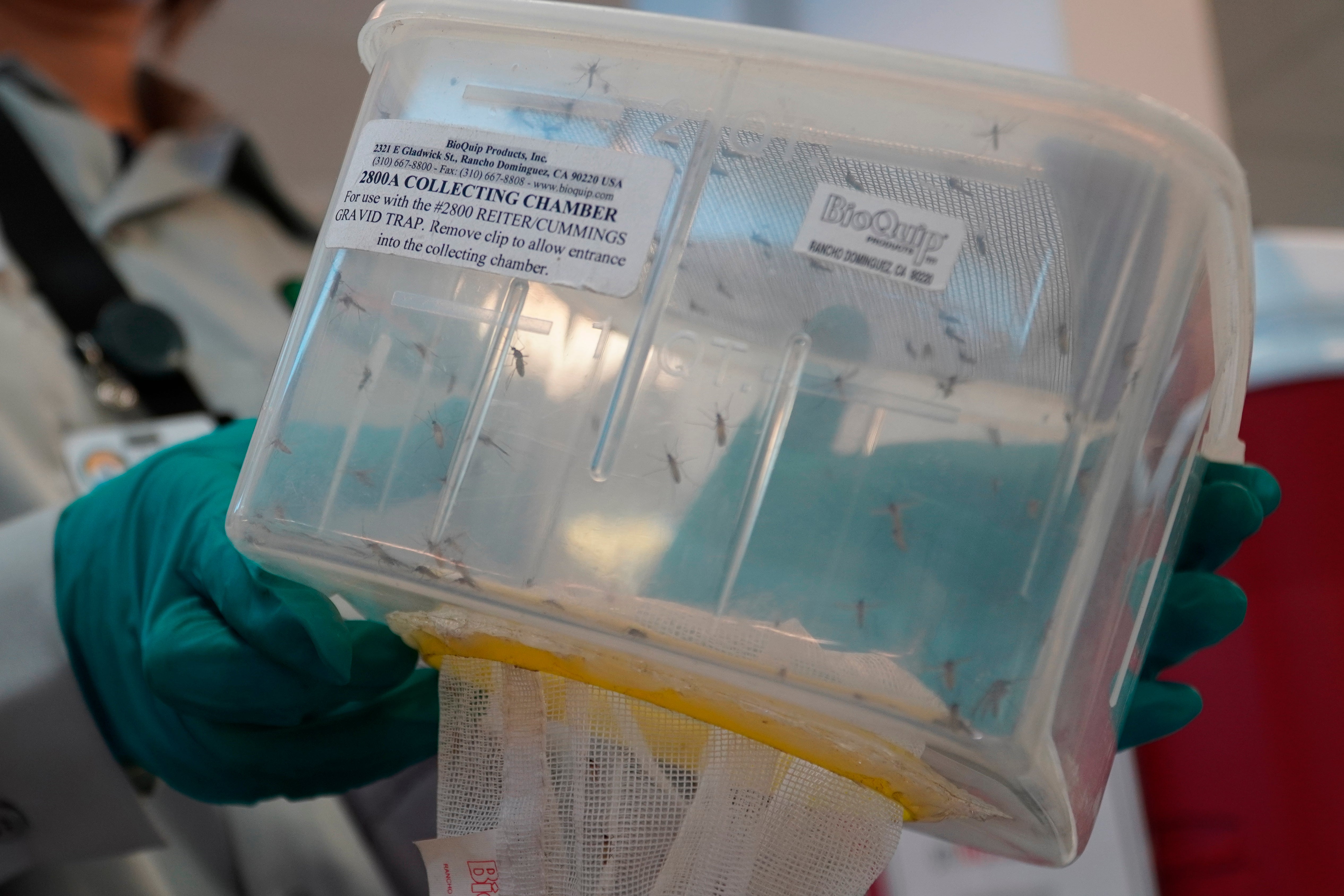 Mosquito-Fighting Drones