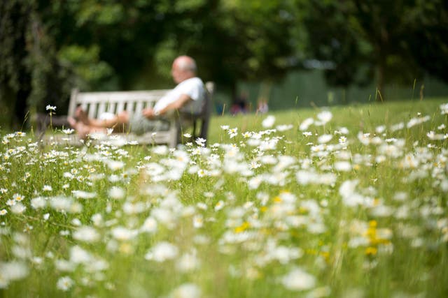 <p>Loneliness linked with elevated risk of cardiovascular disease in patients with diabetes</p>